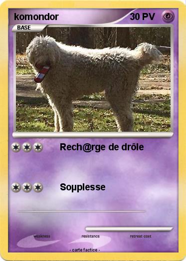 Pokemon komondor