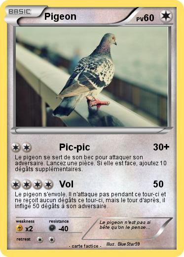 Pokemon Pigeon