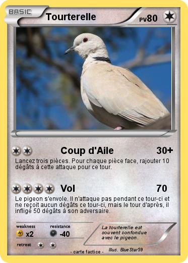 Pokemon Tourterelle