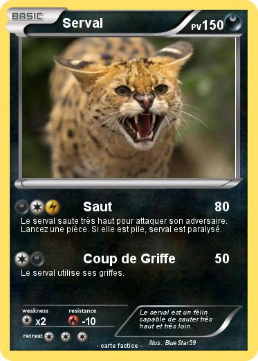 Pokemon Serval