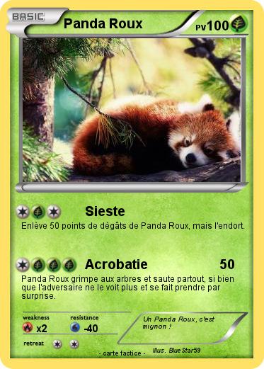 Pokemon Panda Roux