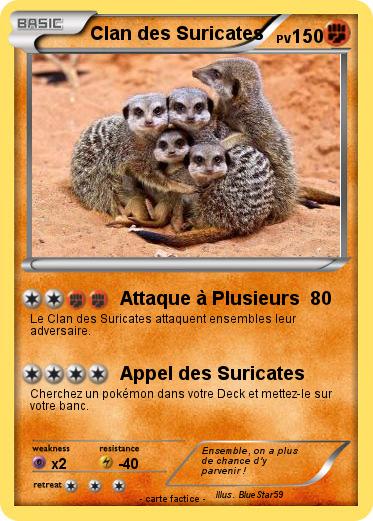 Pokemon Clan des Suricates