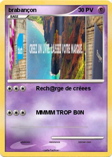 Pokemon brabançon