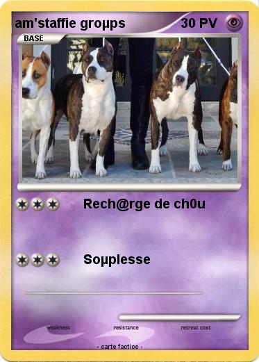 Pokemon am'staffie groµps