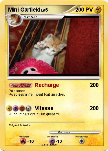 Pokemon Mini Garfield