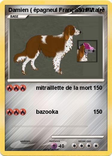 Pokemon Damien ( épagneul Français militaire