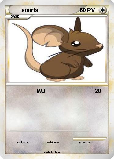 Pokemon souris