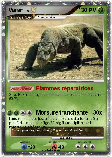 Pokemon Varan