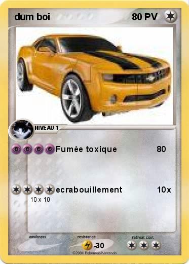 Pokemon dum boi
