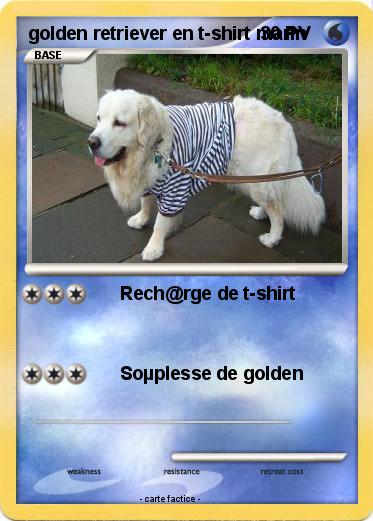 Pokemon golden retriever en t-shirt marin