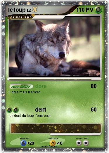 Pokemon le loup