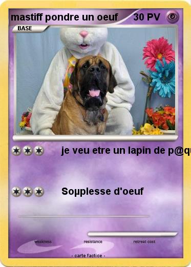 Pokemon mastiff pondre un oeuf