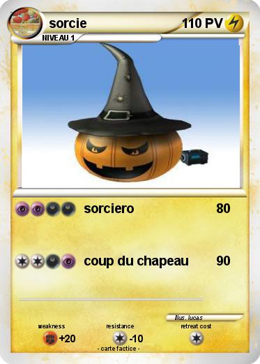Pokemon sorcie