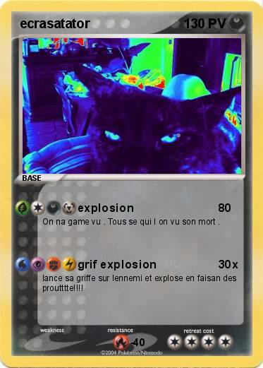 Pokemon ecrasatator 