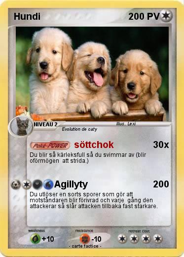 Pokemon Hundi