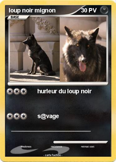 Pokemon loup noir mignon