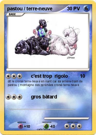 Pokemon pastou / terre-neuve