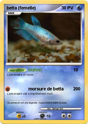 Pokemon betta (femelle)