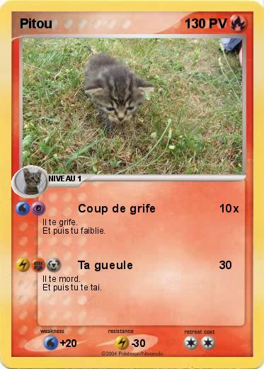 Pokemon Pitou