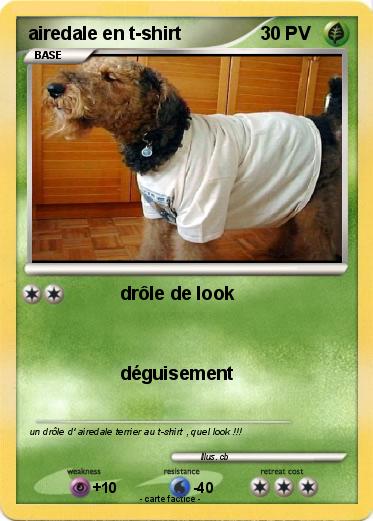 Pokemon airedale en t-shirt