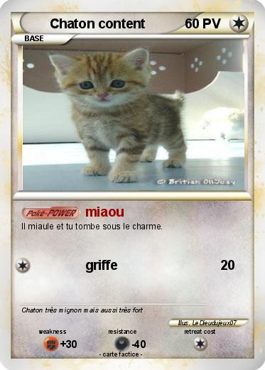 Pokemon Chaton content