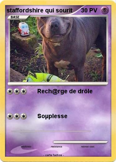 Pokemon staffordshire qui sourit