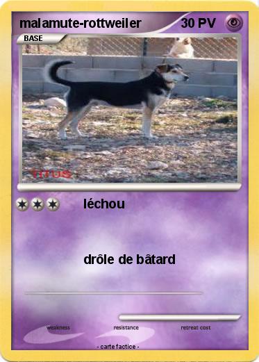 Pokemon malamute-rottweiler