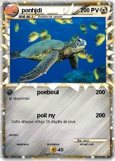 Pokemon ponhjdi