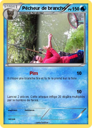 Pokemon Pêcheur de branche