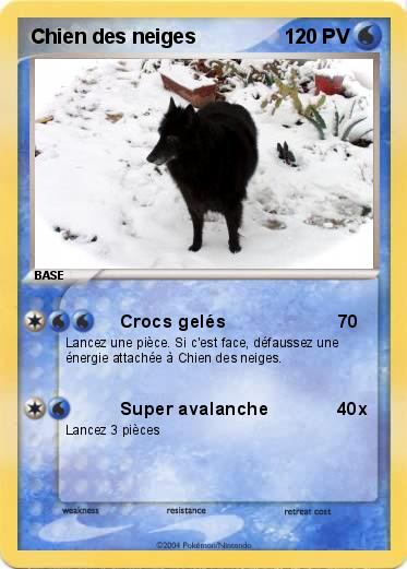 Pokemon Chien des neiges