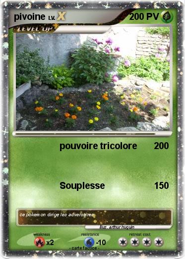 Pokemon pivoine
