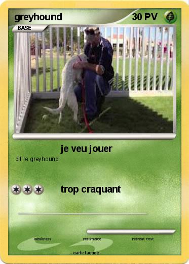 Pokemon greyhound