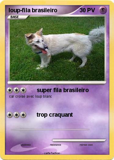 Pokemon loup-fila brasileiro
