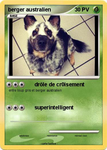 Pokemon berger australien