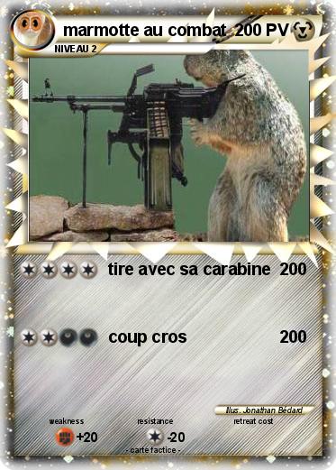 Pokemon marmotte au combat