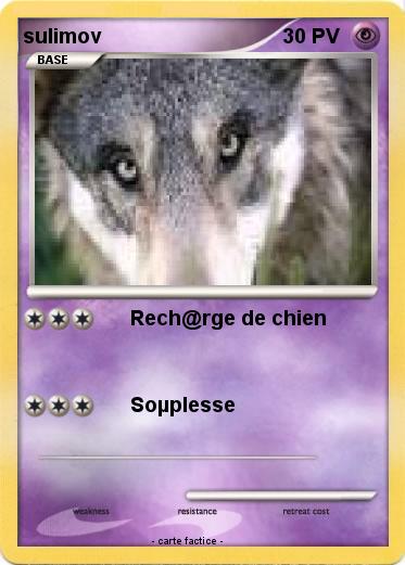 Pokemon sulimov