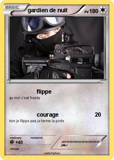 Pokemon gardien de nuit