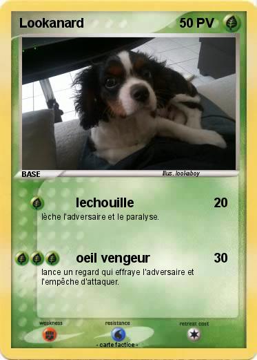 Pokemon Lookanard