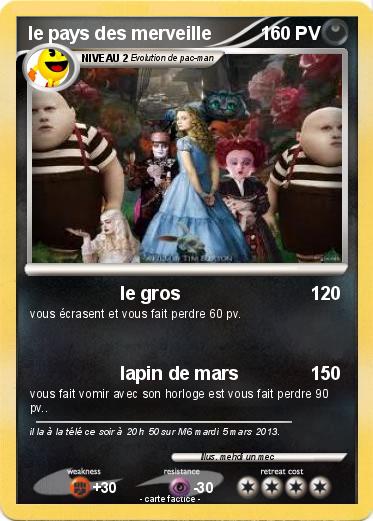 Pokemon le pays des merveille