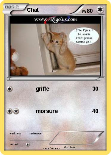 Pokemon Chat