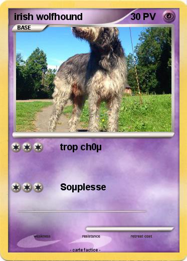 Pokemon irish wolfhound