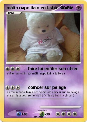 Pokemon mâtin napolitain en t-shirt wamiz