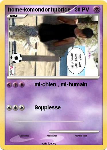 Pokemon home-komondor hµbride