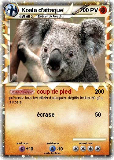 Pokemon Koala d'attaque