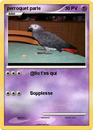 Pokemon perroquet parle