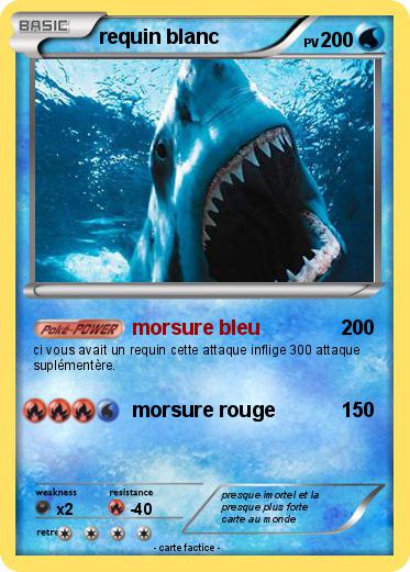 Pokemon requin blanc