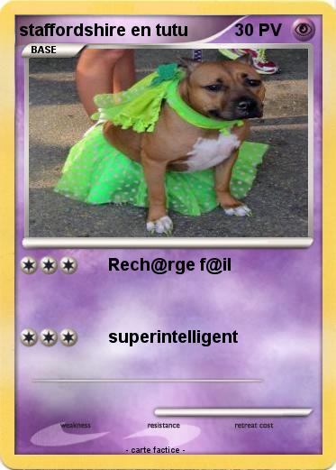 Pokemon staffordshire en tutu