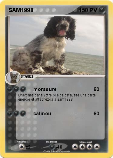 Pokemon SAM1998