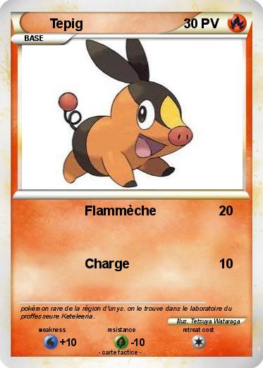 Pokemon Tepig