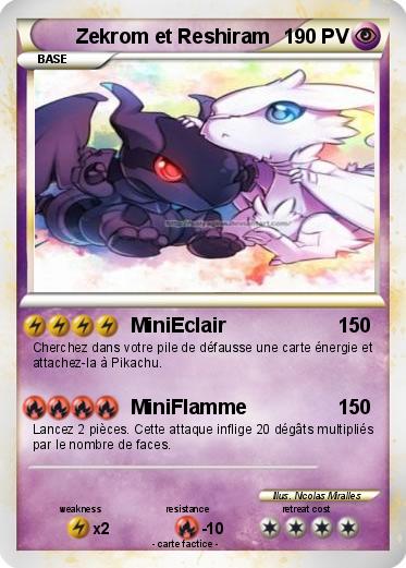 Pokemon Zekrom et Reshiram